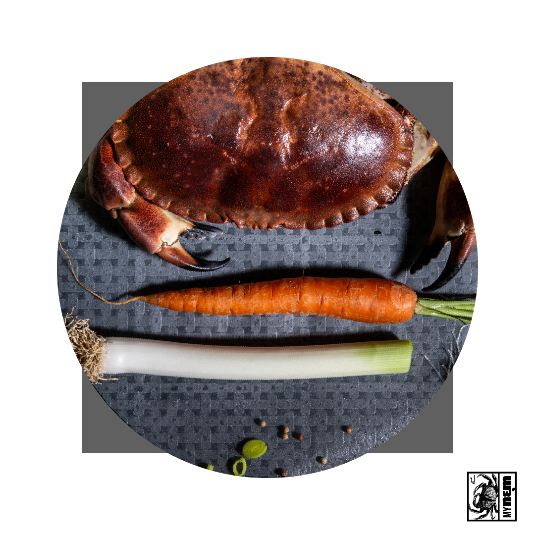 10x nยุm "Tourteau' 30g