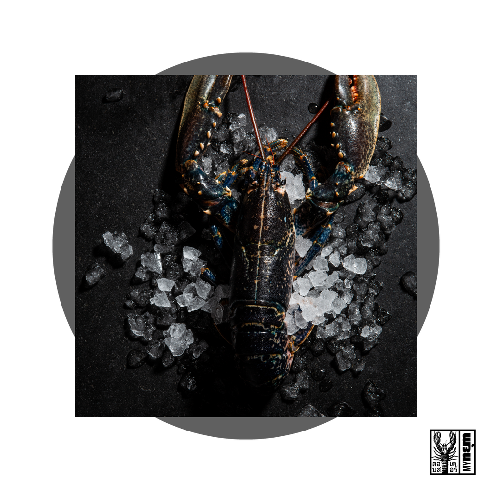 nยุm "Homard' (70g)